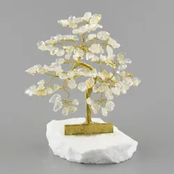 Stromček šťastia R4 bonsai - citírn