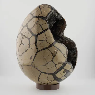Dračie vajce septárie Madagaskar 8,1kg