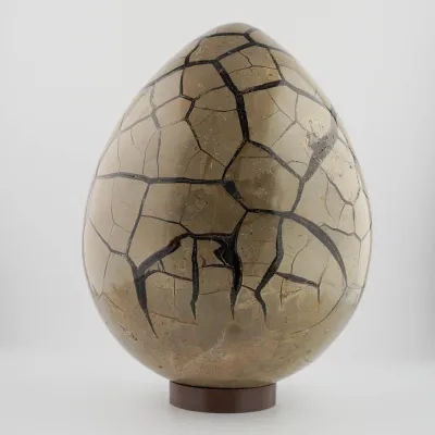 Dračie vajce septárie Madagaskar 8,1kg