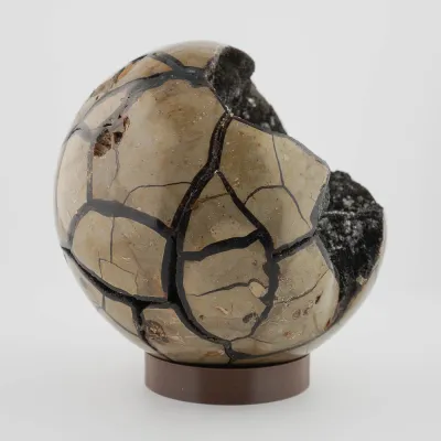 Dračie vajce septárie Madagaskar 2,5kg